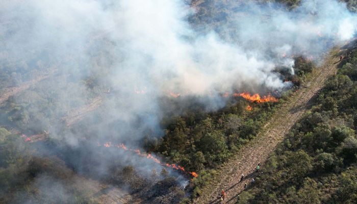  Com incêndios, bombeiros registraram aumento de 10% no total de ocorrências em 2024